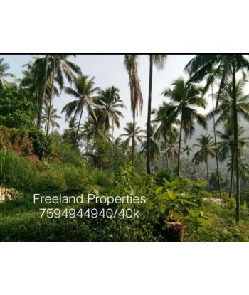 2.04 Acre Residential Land...